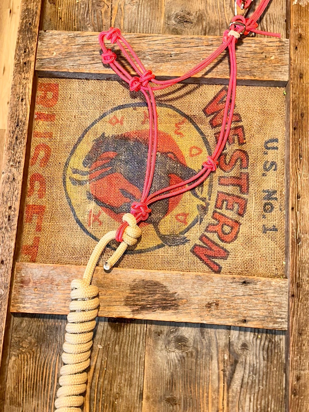 Cowgirl pink four knot easy hook rope halter with 10’ tan leadrope new